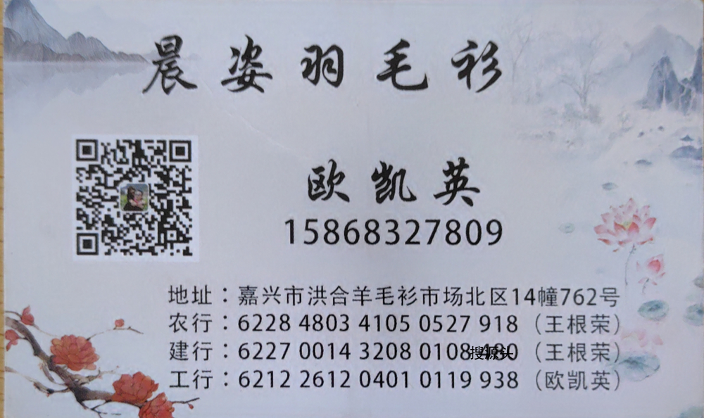 晨姿羽毛衫-洪合毛衫市场