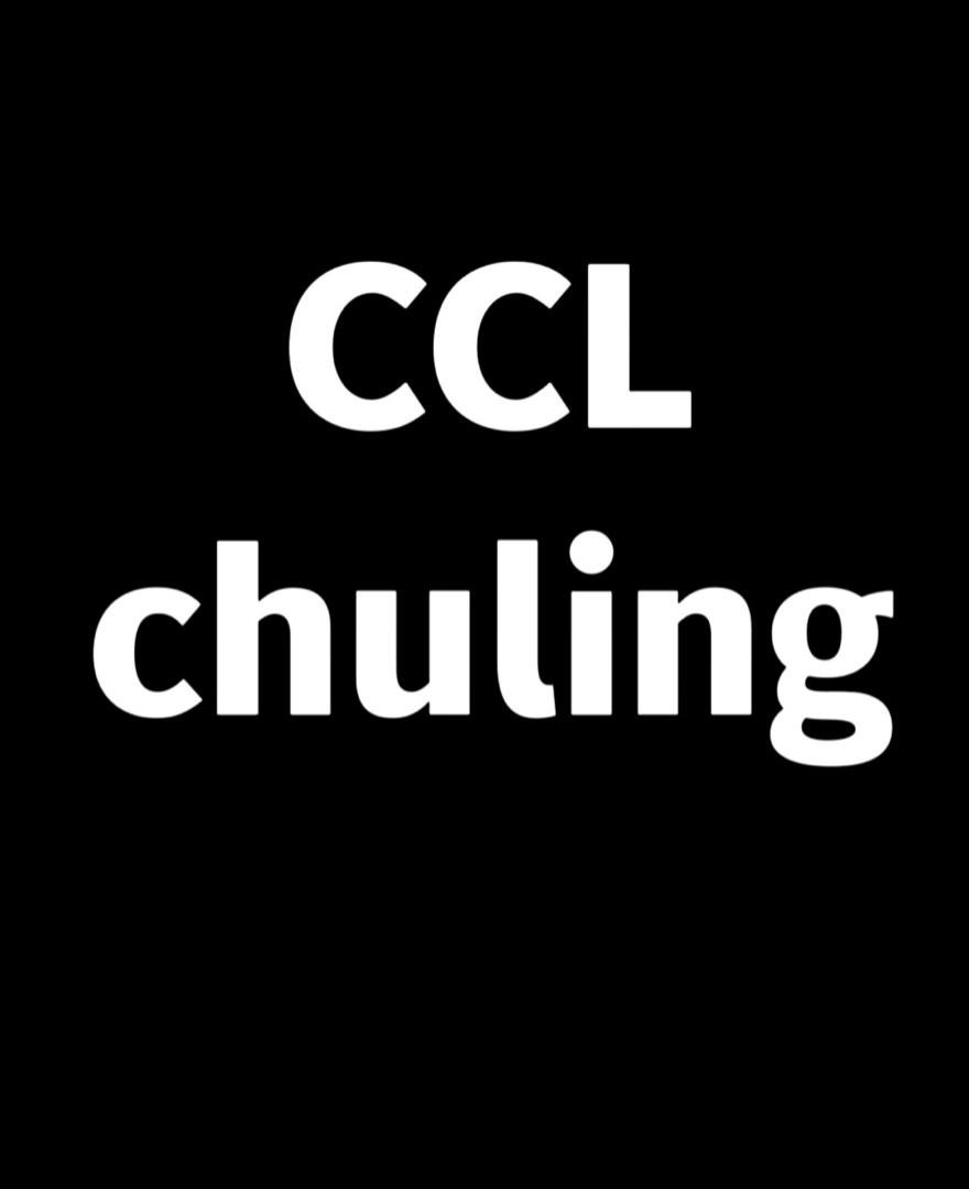 CL.chuling档口联系方式-意法服饰城 5楼5081