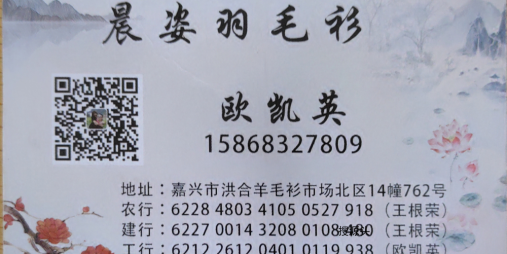 晨姿羽毛衫-洪合毛衫市场