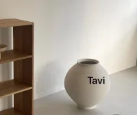 Tavi