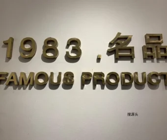 雷洛奇丽,意法服饰城