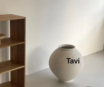 Tavi