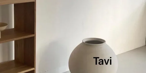 Tavi