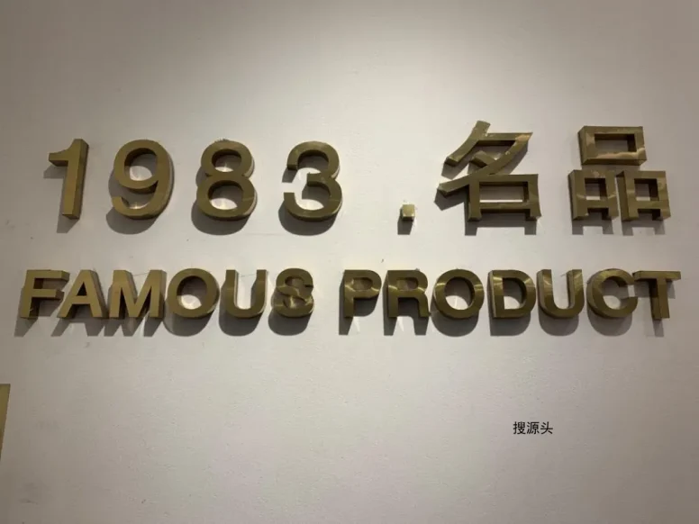 雷洛奇丽,意法服饰城